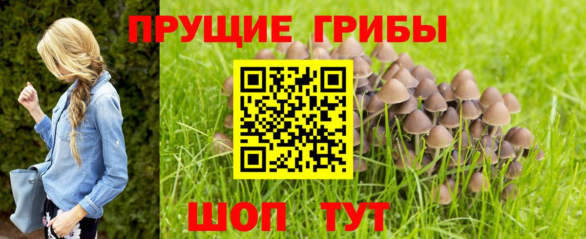 Гашиш  Вход с VPN  МДМА  Междуреченск  Конопля  Мефедрон кристаллы 