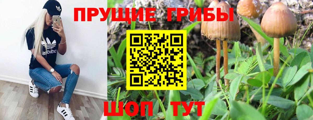 что такое наркотик  Вход с VPN  Псилоцибиновые грибы Psilocybine cubensis  Междуреченск  Галлюциногенные грибы мухоморы 